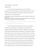 Los Homínidos y su Evolución.