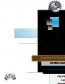 La segementacion de mercados.