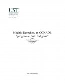 PAUTA INFORME: MODELOS DE INTERVENCIÓN COMUNITARIA