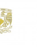 El uso de la televisión: Investigación de David Morley