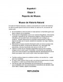 Reporte del museo. Museo de Historia Natural
