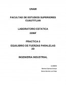 EQUILIBRIO DE FUERZAS PARALELAS 2D