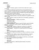 Apuntes Bienes.