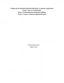 Desarrollo fetal del sistema respiratorio.