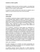 Vandalismo en México (graffiti)