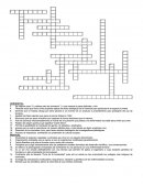 Crucigrama Formacion civica y etica.