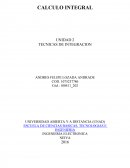 CALCULO INTEGRAL - TECNICAS DE INTEGRACION