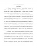 Liberación prolongada de Mematina