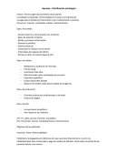 Apuntes - Planificación estratégica