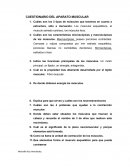 CUESTIONARIO DEL APARATO MUSCULAR