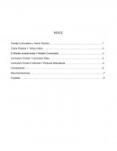 Teorias Curriculares y Teoria Técnica