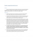 Función e Importancia del ferrocarril