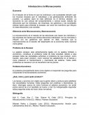 Introducción a la Microeconomía. Diferencia entre Microeconomía y Macroeconomía