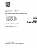 Determinación de biomoléculas II: Carbohidratos y lípidos