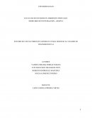 ESTUDIO DE LOS FACTORES QUE GENERAN UN MAL SERVICIO AL USUARIO EN TRANSMILENIO S.A