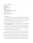 Educación para LA Paz (Taller, bullying en escuela primaria José azueta)