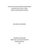 FORMULACION Y EVALUACION DE PROYECTOS INGENIERIA INDUSTRIAL