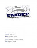 Diagnostico de una empresa.Dirección de negocios