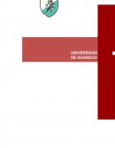 TIPOS DE CONTAMINACION AMBIENTAL RELACIONADOS A LA CONSTRUCCION CIVIL