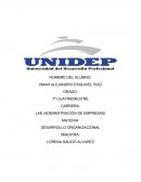 ENTREVISTA A UN CONSULTOR