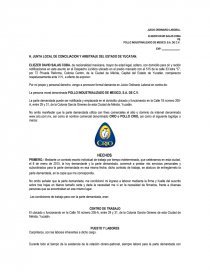 ELIEZER DAVID SALAS COBA VS. POLLO INDUSTRIALIZADO DE MEXICO, S.A. DE C.V.. Página 1
