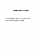 Microscopia y niveles de organizacion