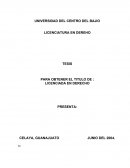 ANALISIS JURÍDICO DE LA PENSIÓN ALIMENTICIA