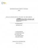 Actividad grupal Microbiologia