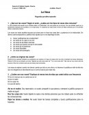 La Vaca Preguntas que debe responder