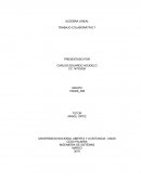 Trabajo Algebra Lineal