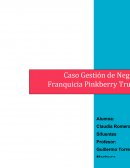 CASO DE GESTIÓN DE NEGOCIO FRANQUICIA PINKBERRY TRUILLO (PB12)