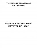 PROYECTO DE DESARROLLO INSTITUCIONAL