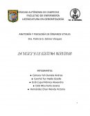 LA VEJEZ Y EL SISTEMA NERVIOSO