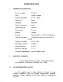 Modelo de informe psicologico. La madre desea saber si su hija tiene un adecuado desarrollo,