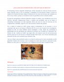 Hallazgo De Los Restos Del Che Guevara En Bolivia