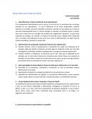 Desarollo Circo Du Solei