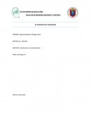 LA ELECTRICIDAD Y SUS PROPIEDADES BÁSICAS.