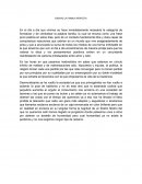 Ensayo la familia perfecta