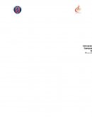 Ultimadamente se ha incrementado las aportaciones teóricas y trabajos empíricos con el fin de determinar las causas del rendimiento académico de los estudiantes de la educación superior.