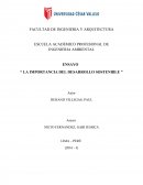 La importancia del desarrollo sostenible