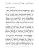 GENERALIDADES DE ANATOMÍA VETERINARIA.