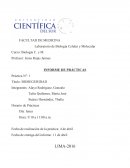 INFORME DE PRÁCTICAS Práctica N°: 1 Título: BIOSEGURIDAD