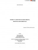 INFORME Nº1 LABORATORIO DE HIGIENE AMBIENTAL