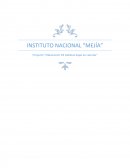 Proyecto de Galletas Atesanales