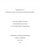 TRABAJO SEMANA No.1 FORMATOS DE COMPRAS Y DIAGRAMA DE FLUJO PROCESO DE COMPRAS