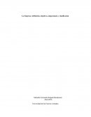 La Empresa: definición, objetivos, importancia y clasificación