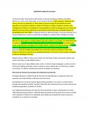 BIOGRAFIA COMPLETA DE KLEIN