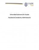 CRITERIOS DE POLITICA ECONOMICA