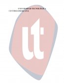 Anatomía del Músculo Esquelético