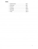 Memoria exeriencia laboral